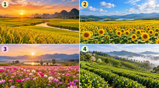 Chọn 1 cánh đồng bạn thấy trù phú nhất để xem điều gì đang chờ đợi bạn phía trước