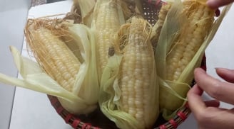 Mẹo luộc ngô nếp hạt dẻo ngọt đều