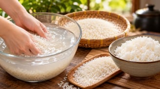 Vo gạo kỹ có bị mất dinh dưỡng không?
