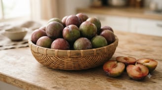 Mận hậu ngố Tây Bắc: Quả to tròn, giòn mọng, giá có thể lên tới 120.000 đồng/kg