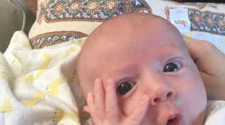 14 sắc thái của bé con 4 tháng có gương mặt biểu cảm nhất thế giới giúp bạn xả stress
