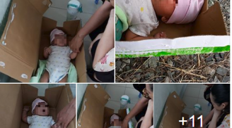 Thông tin mới nhất vụ bé trai 2 tháng tuổi cực kháu khỉnh bị mẹ vứt bỏ trong thùng giấy