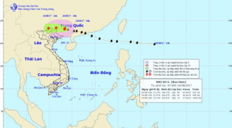Tin bão mới nhất: Bão Hato gây mưa to ở Hà Nội, nguy cơ ngập nhiều