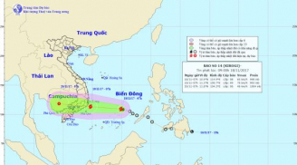 Áp thấp nhiệt đới đã mạnh lên thành bão số 14, uy hiếp Nam Trung Bộ