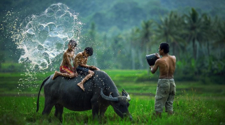 Khi càng lớn, chúng ta càng vô tình đánh mất những điều trân quý này