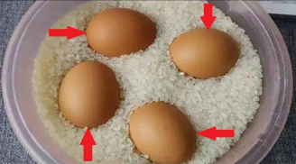 Bỏ một quả trứng vào trong hũ gạo, kết quả sẽ khiến bạn ngỡ ngàng đến khó tin