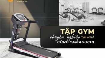 Máy chạy bộ tại Hải Phòng uy tín nhất tới ngay Yamaguchi