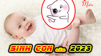 4 tuổi bố mẹ sinh con năm 2023 vận đào hoa nở rộ, đứa trẻ sinh ra được thần Tài đỡ đầu