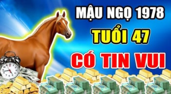 10 ngày đầu tháng 10/2024: 4 tuổi chính thức hết khổ, làm gì cũng có tiền