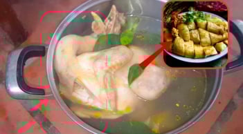 Luộc gà cùng nước lã vừa tanh vừa đỏ, thêm nắm lá này gà vàng ươm, chín đều ngọt thịt