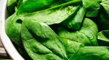 CDC Mỹ xếp hạng “rau tốt nhất thế giới” hóa ra là loại rau quen thuộc
