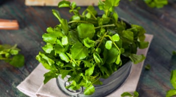 Loại rau trồng 1 lần ăn chục năm, canxi gấp đôi sữa bò, trẻ ăn vào cao lớn trông thấy