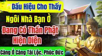 8 dấu hiệu chứng tỏ nhà đang có nhiều phúc, càng ở càng có lộc về, đừng dại bán đi