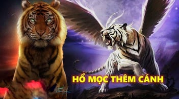 Có Duyên Với Tiền: 3 tuổi ẵm trọn giàu sang