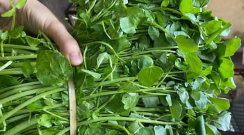 4 loại rau ít “ngậm” thuốc trừ sâu nhất chợ, giá bán chỉ 10 nghìn/bó