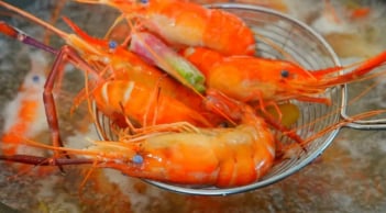 Đổ nước vào luộc tôm vừa trắng vừa tanh: Muốn tôm ngọt, đỏ đều cứ dùng 1 thứ