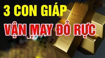 Top 3 con giáp Tứ Phương Tụ Lộc, sang tháng 12 mở cửa Tiền ùa về