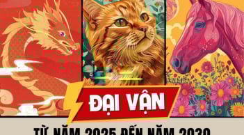 Vỗ Tay Đón Chào: 3 tuổi Khoác Vàng Đầy Người, tiền về không ngớt 3 tháng tới