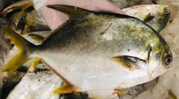 Loại cá mệnh danh đầu bảng “tứ quý ngư”, bán 300 nghìn/kg vẫn hết sạch