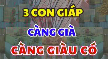Về già mới sướng: 3 tuổi cày cuốc quanh năm, qua 50 Tiền tài dư dả