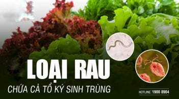 3 loại rau nhiều kí sinh trùng bám nhất, muốn ăn phải làm 1 việc