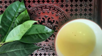 Cách hãm nước chè tươi uống mát gan, bổ thận