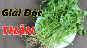 Ăn rau mùi có giải độc gan thận?
