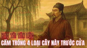 4 loài cây chặn cửa thần Tài, cây càng xanh tốt Tiền càng đi xa