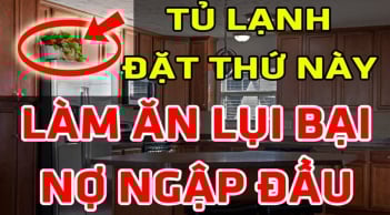 Nóc tủ lạnh đặt 4 thứ Tiền chẳng mọc cánh mà tự bay