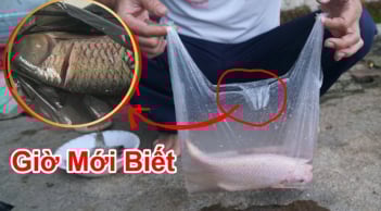 Vì sao người bán thường để cá trong túi bóng đen?