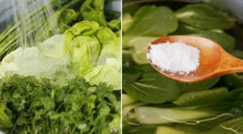Rau ngâm nước muối bao lâu là sạch thuốc mà vẫn xanh giòn?