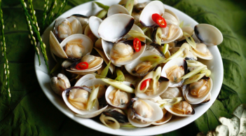 Mua ngao nhớ 3 mẹo này: Ăn không hết vẫn tươi, thịt không teo, mọng ngọt như mới