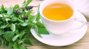 Uống nước lá quế cơ thể nhận được tác dụng gì?