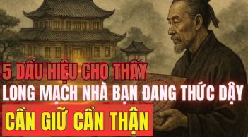 5 dấu hiệu đất có long mạch, càng ở Tiền càng nở ra