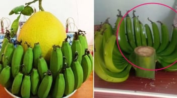 Có nên ghép 2 nải chuối để thắp hương cúng Tổ Tiên không?