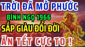Thánh Thương Cho Lộc Cho Tiền: 3 con giáp sang Bính Ngọ kiếm tiền to