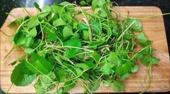 5 loại rau lọc thận khoẻ gan, chợ Việt bán nhiều