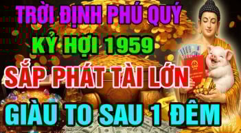 Số Trời định phải giàu, 3 tuổi vứt đâu cũng sống, sau 35 tiền tỷ đếm mỏi tay