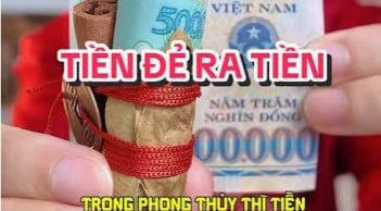 4 mẹo nuôi Tiền Cái đầu năm để Tiền Đẻ Ra Tiền
