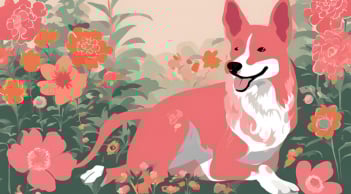 Chẳng Tham Quyền Tranh Chức, 3 tuổi có Tài có Lộc ắt lên cao