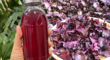 Mẹo nấu lá tía tô uống giải nhiệt, giải độc