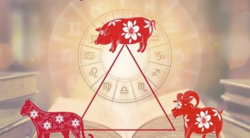 Những cặp đôi con giáp cứ hợp tác là Sinh Tài – Sinh Phúc, buôn bán lãi to