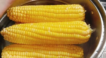 Luộc ngô thêm thứ này vào nồi, ngô ngọt - dẻo - thơm