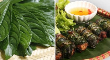 Loại lá cuốn chả thơm ngon gấp 3 lần lá lốt, bổ từ trong ra ngoài