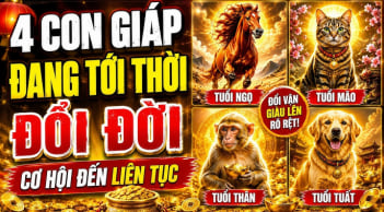 4 con giáp tới thời Đổi Đời Liên Tục, 2 năm tới tiền về khó cản