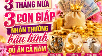 3 tháng nữa, 3 con giáp nhận thưởng hậu hĩnh đủ ăn cả năm