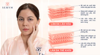 Trẻ hóa mãi không hiệu quả: Bạn có đang bỏ qua tầng lão hóa quan trọng nhất?