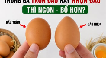 Trứng gà tròn đầu hay nhọn đầu thì ngon - bổ hơn?
