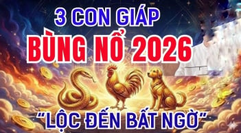 Có công ắt được Lộc, 3 con giáp phú quý về đầy tay