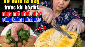 Vo nắm lá này trước khi bổ mít, nhựa mít nhiều mấy cũng không dính dao